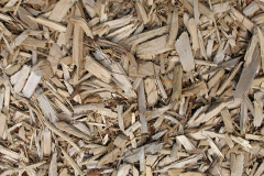 biomass boilers North Middleton